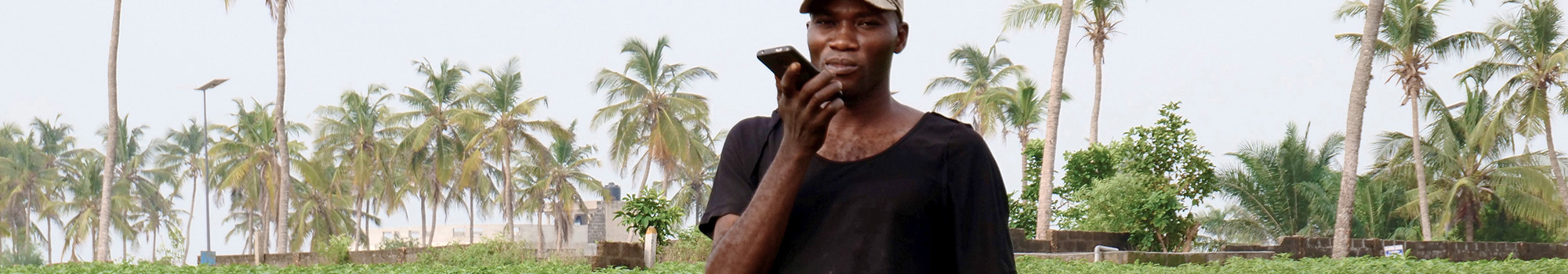 Un maraîcher au Bénin utilisant son smartphone pour échanger des informations sur WhatsApp, © Nicolas Paget, Cirad.